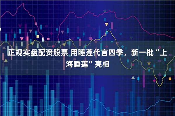 正规实盘配资股票 用睡莲代言四季，新一批“上海睡莲”亮相