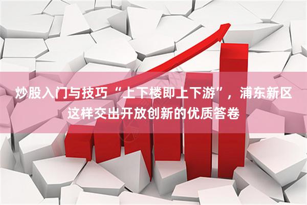 炒股入门与技巧 “上下楼即上下游”，浦东新区这样交出开放创新的优质答卷