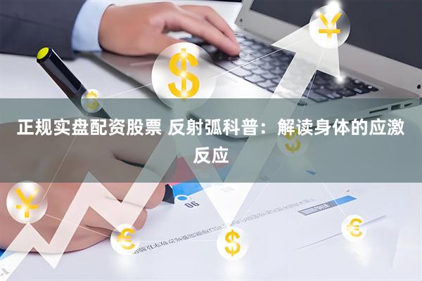 正规实盘配资股票 反射弧科普：解读身体的应激反应