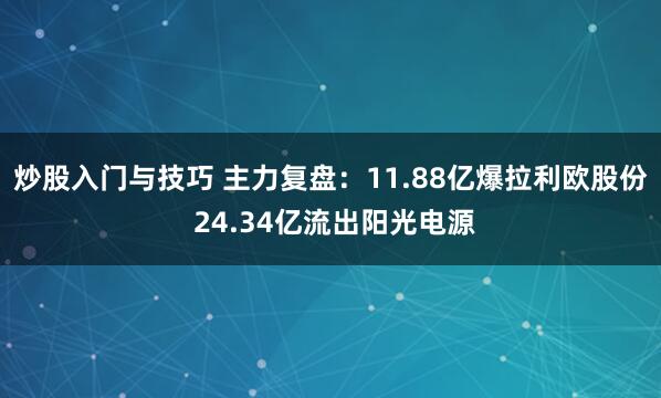 炒股入门与技巧 主力复盘：11.88亿爆拉利欧股份 24.34亿流出阳光电源